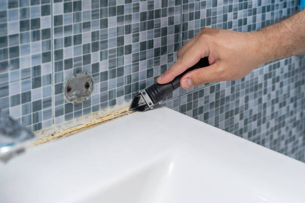 Best Mold Testing  in Dewey Humboldt, AZ